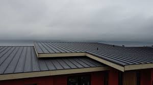 Steel Roofing in Pierce, NE